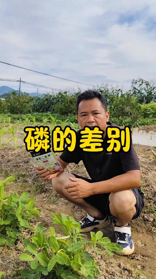 深入解析 磷酸二氢钾中的磷与复合肥中的磷有何区别？
